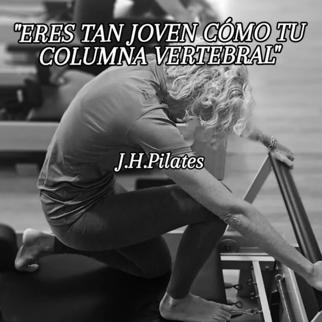 "ERES TAN JOVEN CÓMO TU COLUMNA VERTEBRAL " J.H.PilatesColumna sana, vida plena: ¡Pilates en máquinas es tu aliado! 🧘‍♀️🤔¿Sabías que tu columna vertebral es el eje central de tu cuerpo y una pieza clave para tu bienestar general? Es la autopista de tu sistema nervioso, el soporte de tu postura y la base de cada movimiento que haces. 🫶🏻¡Cuidarla es fundamental para sentirte bien cada día!💪🏻Una columna fuerte y flexible te permite moverte sin dolor, mantener una buena postura y disfrutar de tus actividades diarias al máximo. Por el contrario, una columna descuidada puede generar molestias, limitaciones e incluso problemas de salud a largo plazo.Aquí es donde el Pilates en máquinas se convierte en tu mejor amigo. A diferencia del Pilates de suelo, las máquinas como el Reformer, Cadillac o Chair te ofrecen:✅️Soporte y asistencia: Ideales para aprender la técnica correcta y para quienes necesitan un extra de estabilidad.✅️Resistencia controlada: Fortalecen tu "powerhouse" (abdomen, glúteos y espalda baja) de manera efectiva y segura.✅️Precisión en cada movimiento: Te ayudan a aislar músculos específicos y a mejorar la alineación de tu columna.✅️Descompresión vertebral: Muchos ejercicios están diseñados para alargar y liberar tensión en tu espalda.Invertir en la salud de tu columna con Pilates en máquinas es invertir en tu calidad de vida. 🚀¡Te sentirás más fuerte, más flexible y con menos dolor!🎯¿Listo para darle a tu columna el cuidado que se merece? ¡Pregúntanos por nuestras clases de Pilates en máquinas y empieza tu camino hacia una columna sana y feliz! 💪#SaludDeColumna #PilatesEnMaquinas #ColumnaVertebral #Bienestar #letspilates #algorta #getxo #bilbao #vizcaya